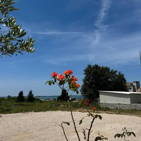 Bernarda 1 Apartman *