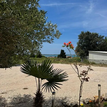 Bernarda 1 Apartman Nin