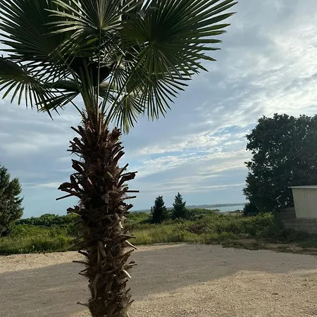 Bernarda 1 Apartment
